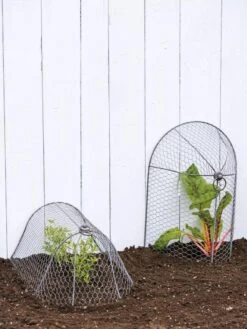 3-in-1 Chicken Wire Cloche 9 3-in-1 Chicken Wire Cloche -Garden Care Shop 8592117 0188 tif