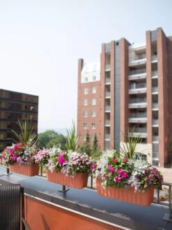 Adjustable Self-Watering Railing Planter, 24" -Garden Care Shop 8592173TC 2383 tif