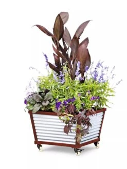 Galvanized Self-Watering Planters 7 Galvanized Self-Watering Planters -Garden Care Shop 8592176 5067 tif