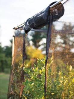 Storm Proof Crop Cage, Large -Garden Care Shop 8592463 115 tif