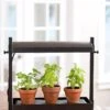 Micro Grow Light Garden