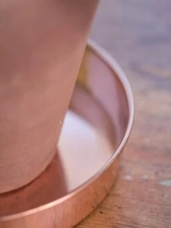 Extra Small Round Copper Plant Tray, 8" 9 Extra Small Round Copper Plant Tray, 8" -Garden Care Shop 8593528 4529 tif