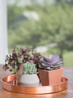 Large Round Copper Plant Tray, 14" 11 Large Round Copper Plant Tray, 14" -Garden Care Shop 8593531 4518 tif