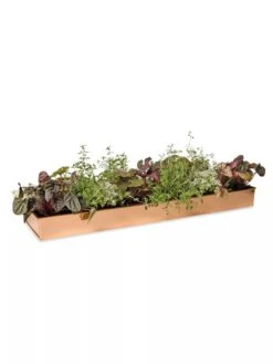 Rectangular Copper Plant Tray, 24" X 5" 9 Rectangular Copper Plant Tray, 24" X 5" -Garden Care Shop 8593533 2878 tif
