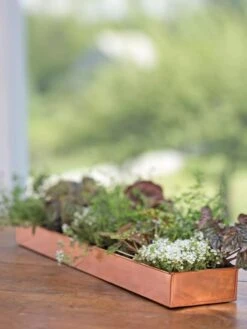 Rectangular Copper Plant Tray, 24" X 5" 7 Rectangular Copper Plant Tray, 24" X 5" -Garden Care Shop 8593533 4626 tif