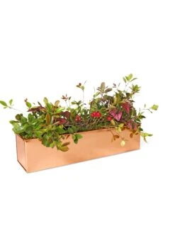 Tall Rectangular Copper Plant Tray, 18" X 5" X 4" 8 Tall Rectangular Copper Plant Tray, 18" X 5" X 4" -Garden Care Shop 8593534 2899 tif