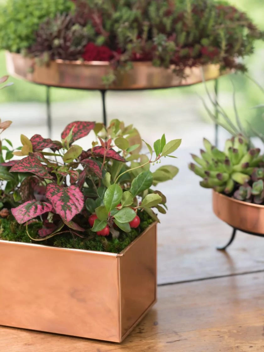 Tall Rectangular Copper Plant Tray, 18" X 5" X 4" 2 Tall Rectangular Copper Plant Tray, 18" X 5" X 4" - Image 2