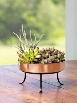 Extra Small Round Copper Plant Tray, 8" 13 Extra Small Round Copper Plant Tray, 8" -Garden Care Shop 8593564 4641 001E tif
