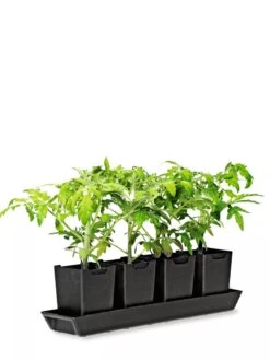 Pop-Out Pots, Set Of 4 -Garden Care Shop 8593943 1260 tif