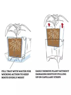 Pop-Out Pots, Set Of 4 -Garden Care Shop 8593943 2