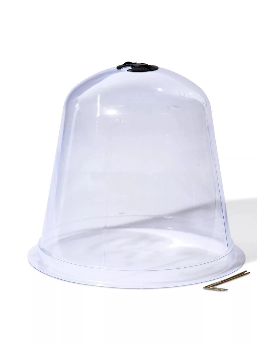 Large Garden Cloches, Set Of 3 2 Large Garden Cloches, Set Of 3 - Image 2