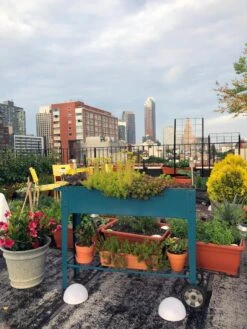 Demeter Mobile Planter Cart 12 Demeter Mobile Planter Cart -Garden Care Shop 8594148 01CUST tif