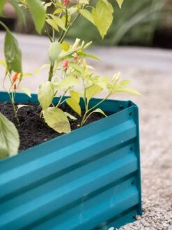 Demeter Corrugated Metal Raised Bed, 34" X 34" 13 Demeter Corrugated Metal Raised Bed, 34" X 34" -Garden Care Shop 8594183 470 tif