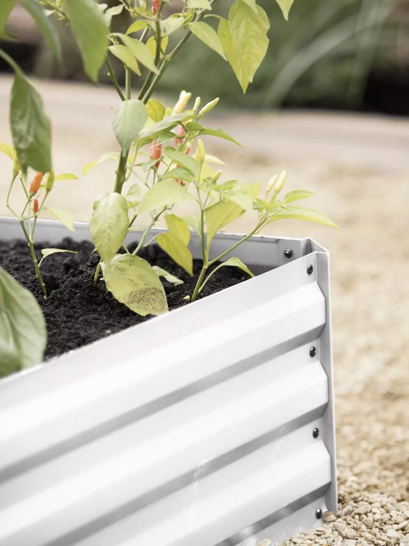 Demeter Corrugated Metal Raised Bed, 34" X 34" 6 Demeter Corrugated Metal Raised Bed, 34" X 34" - Image 6