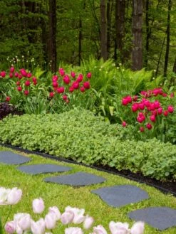 Recycled Rubber Flagstone Stepping Stone -Garden Care Shop 8594282 518 tif