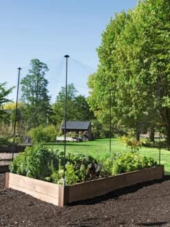 Protection Stakes For Netting, Set Of 4 -Garden Care Shop 8594434 0015 tif