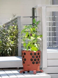 Gardener's Revolution® Tomato Planter 7 Gardener's Revolution® Tomato Planter -Garden Care Shop 8594743 2618 tif