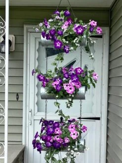 Galvanized Hanging Triple Planter -Garden Care Shop 8595213 02CUST tif