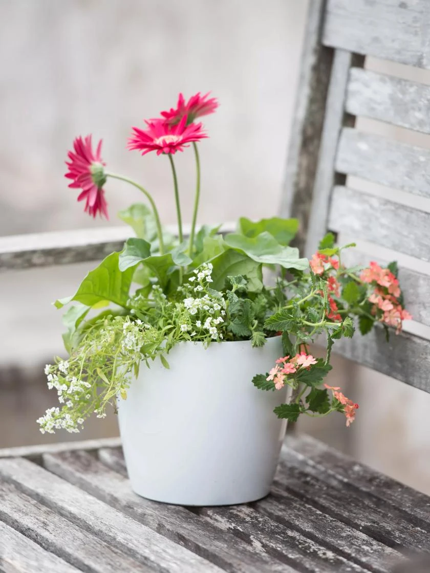 Viva Round Self-Watering Planter, 7" Diameter 4 Viva Round Self-Watering Planter, 7" Diameter - Image 4