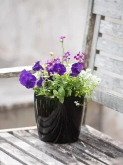 Viva Round Self-Watering Planter, 7" Diameter 9 Viva Round Self-Watering Planter, 7" Diameter -Garden Care Shop 8595222 1140 tif