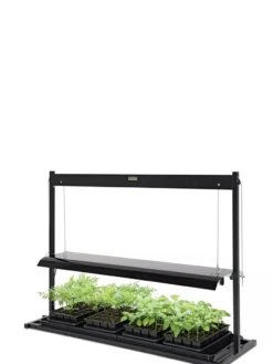 LED SunLite® Tabletop Garden 7 LED SunLite® Tabletop Garden -Garden Care Shop 8595552 10125 tif