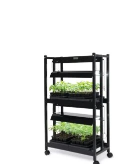 LED SunLite® Compact 2-Tier Garden 10 LED SunLite® Compact 2-Tier Garden -Garden Care Shop 8595556 10132 tif