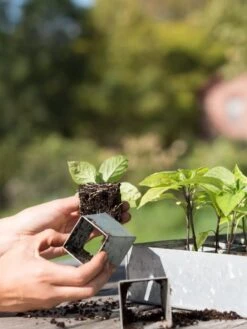 Galvanized Seed Starting Tray -Garden Care Shop 8595893 4382 tif
