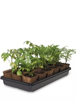 3-1/2” Square Biodegradable Pots & Tray Set -Garden Care Shop 8595968 3916 tif
