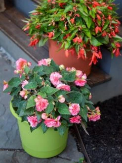 Eezy Gro Self-Watering Planters -Garden Care Shop 8596427 0034 tif