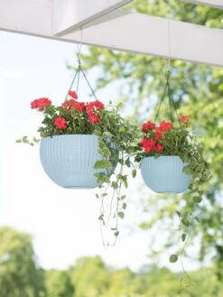 Weave Self-Watering Hanging Basket, 10" 5 Weave Self-Watering Hanging Basket, 10" -Garden Care Shop 8596490 2069 tif