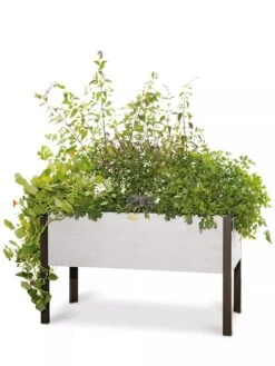 Eco-Stained Elevated Planter Box, 2'x4' -Garden Care Shop 8596759 3837 tif