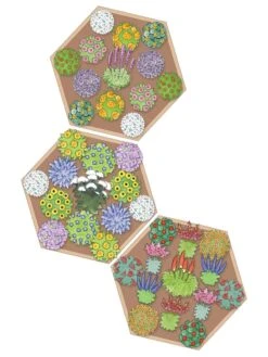 Pollinator Garden Bed -Garden Care Shop 8597000 Hummingbird Plan tif