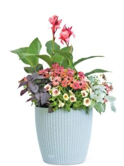 Weave Self-Watering Round Planter, 14" 5 Weave Self-Watering Round Planter, 14" -Garden Care Shop 8597388 2175 tif
