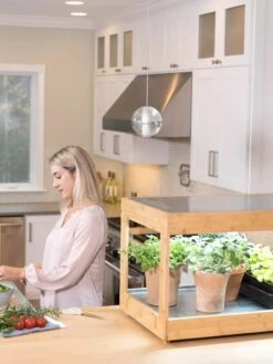 Low Bamboo LED Grow Light Garden 22 Low Bamboo LED Grow Light Garden -Garden Care Shop 8597720 0816 tif