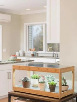 Low Bamboo LED Grow Light Garden 21 Low Bamboo LED Grow Light Garden -Garden Care Shop 8597720 9385 tif