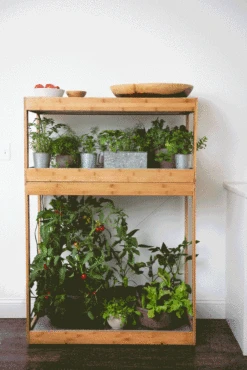 Bamboo Home LED Grow Light Garden 16 Bamboo Home LED Grow Light Garden -Garden Care Shop 8598088 BambooLEDHomeGarden light gif