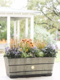 VegTrug™ Trough Planters 14 VegTrug™ Trough Planters -Garden Care Shop 8598402 08880 tif