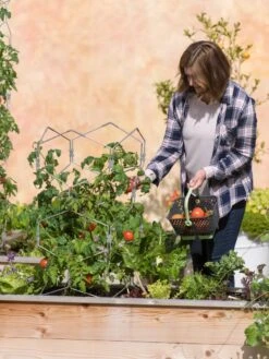 Gardener's Vertex Lifetime Tomato Cage 9 Gardener's Vertex Lifetime Tomato Cage -Garden Care Shop 8598426 0026 tif