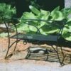 Achla Designs Wrought Iron Arbor Bench With Back