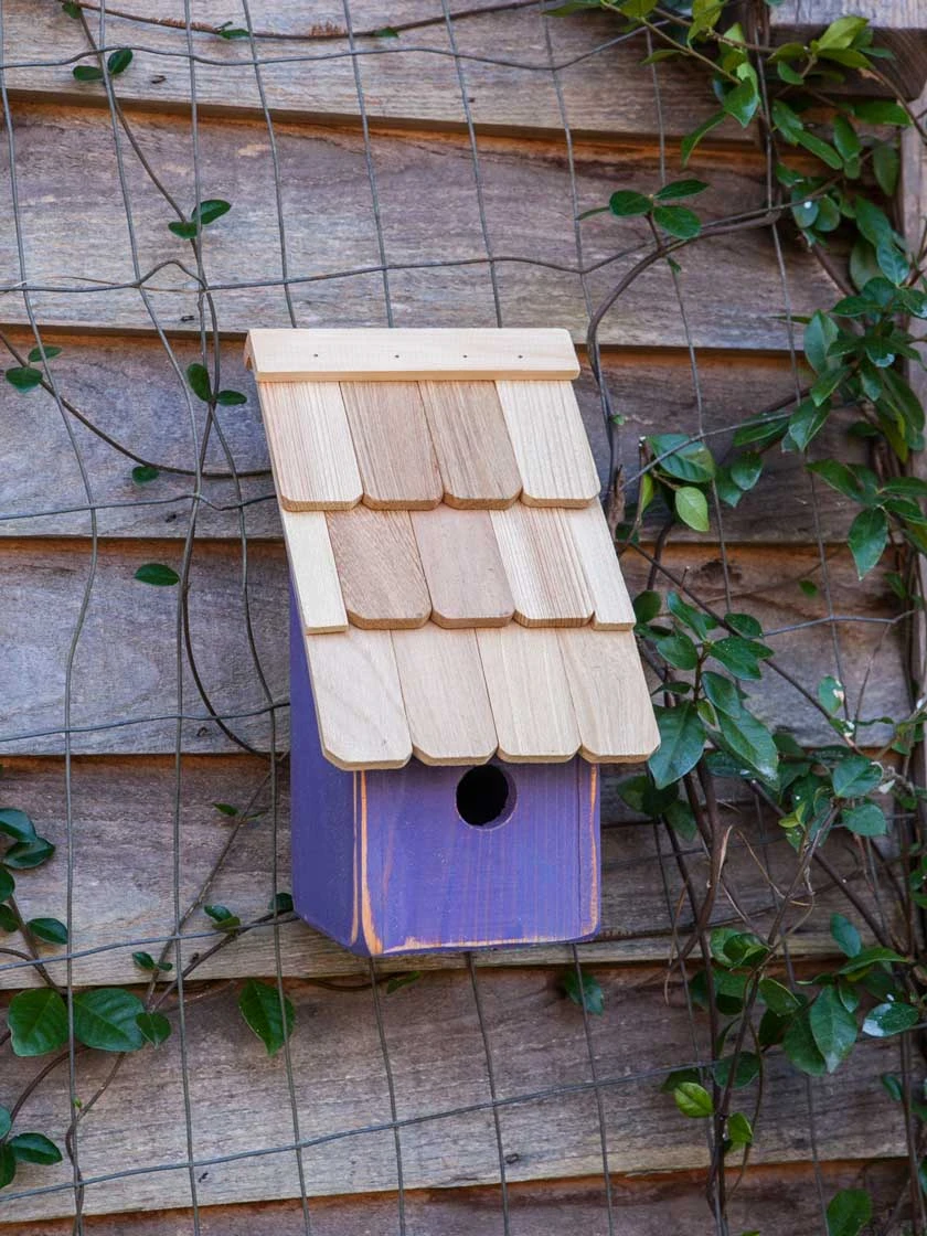 Heartwood Fruit Coops Bird House 3 Heartwood Fruit Coops Bird House - Image 3