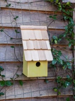 Heartwood Fruit Coops Bird House 8 Heartwood Fruit Coops Bird House -Garden Care Shop 8598856 03v