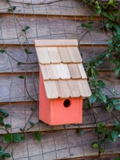 Heartwood Fruit Coops Bird House 9 Heartwood Fruit Coops Bird House -Garden Care Shop 8598856 04v