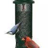 Brome® Squirrel Buster™ Legacy Bird Feeder