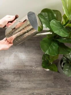 Stainless Steel Watering Can -Garden Care Shop 8599057 14322 tif