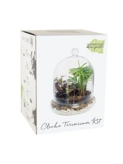 Cloche Terrarium Kit Medium 6 Cloche Terrarium Kit Medium -Garden Care Shop 8599148 01v