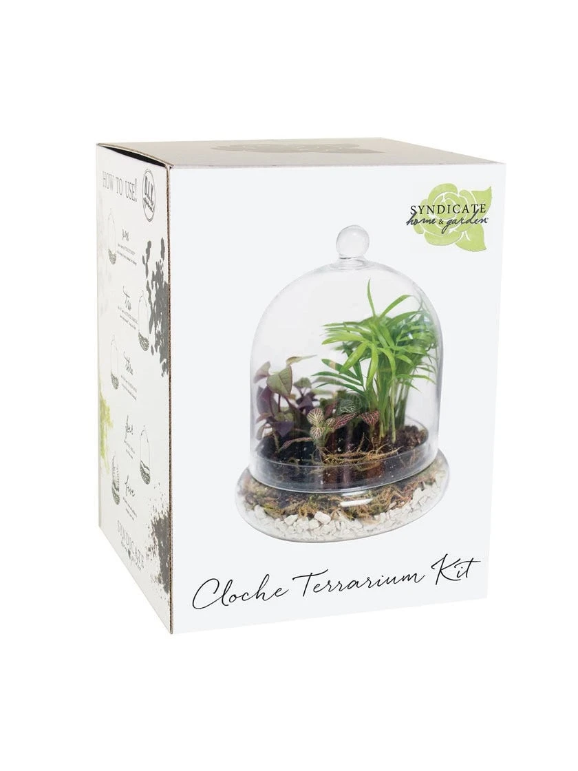 Cloche Terrarium Kit Medium 3 Cloche Terrarium Kit Medium - Image 3