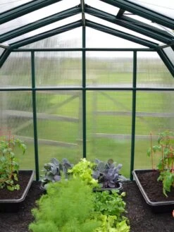 Canopia® By Palram Hobby Gardener Greenhouse, 8' 20 Canopia® By Palram Hobby Gardener Greenhouse, 8' -Garden Care Shop 8599331 05V tif