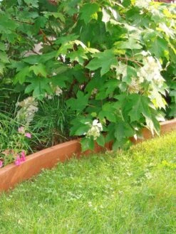 Curved Landscape Edging Kit With 2" Boards 7 Curved Landscape Edging Kit With 2" Boards -Garden Care Shop 8599407 03V tif