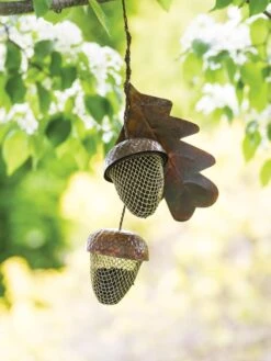 Acorn Bird Feeder 5 Acorn Bird Feeder -Garden Care Shop 8599573 14075 tif