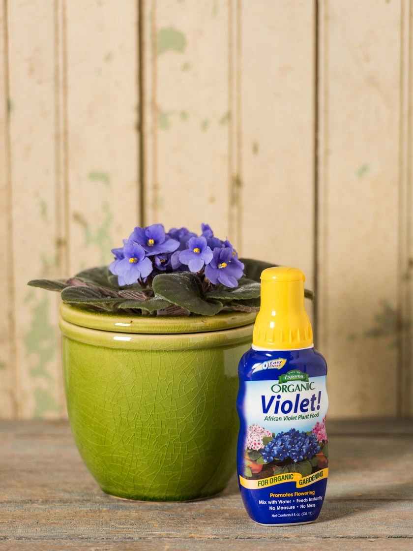 Espoma Violet! Plant Food 1 Espoma Violet! Plant Food